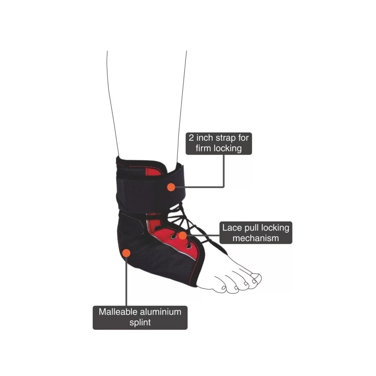 Vissco Rigid Ankle Brace - XL (PC. No. 2720)