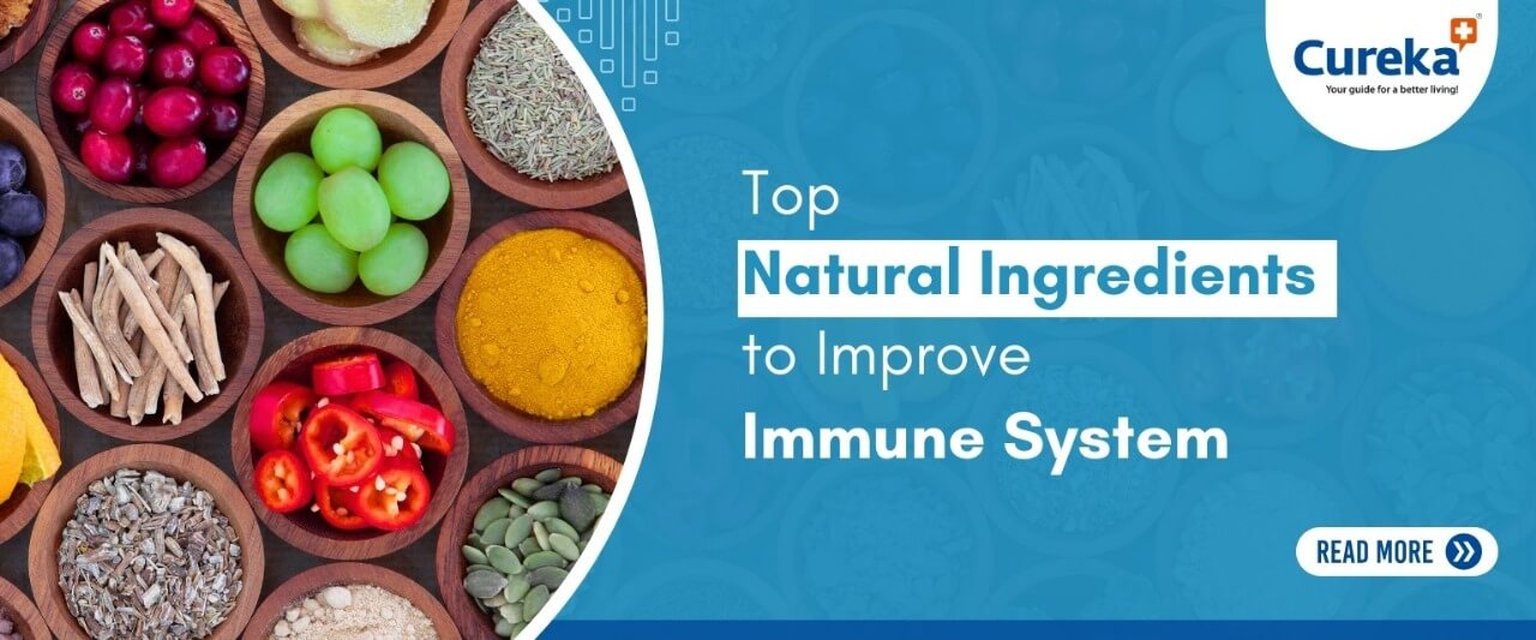 Top Natural Ingredients to Improve Your Immune System