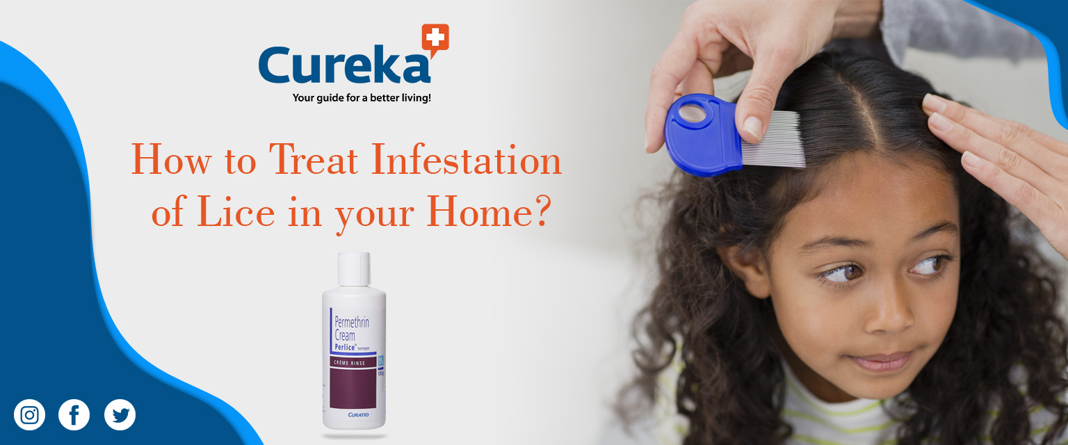 How to treat infestation of lice in your home? Advice from experts