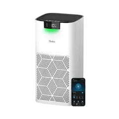 Smart Air Purifier Q500