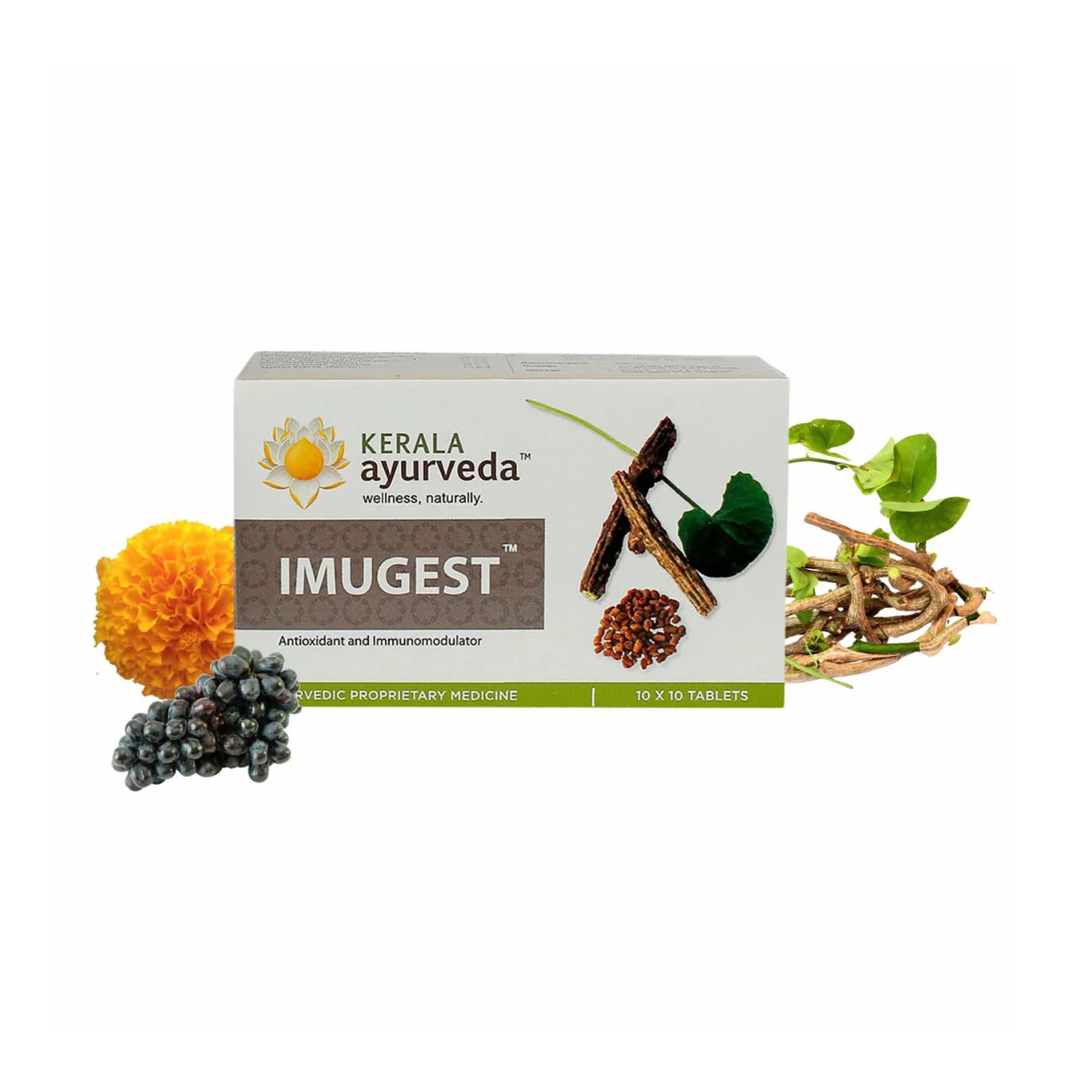 Kerala Ayurveda Imugest 100 Tablets