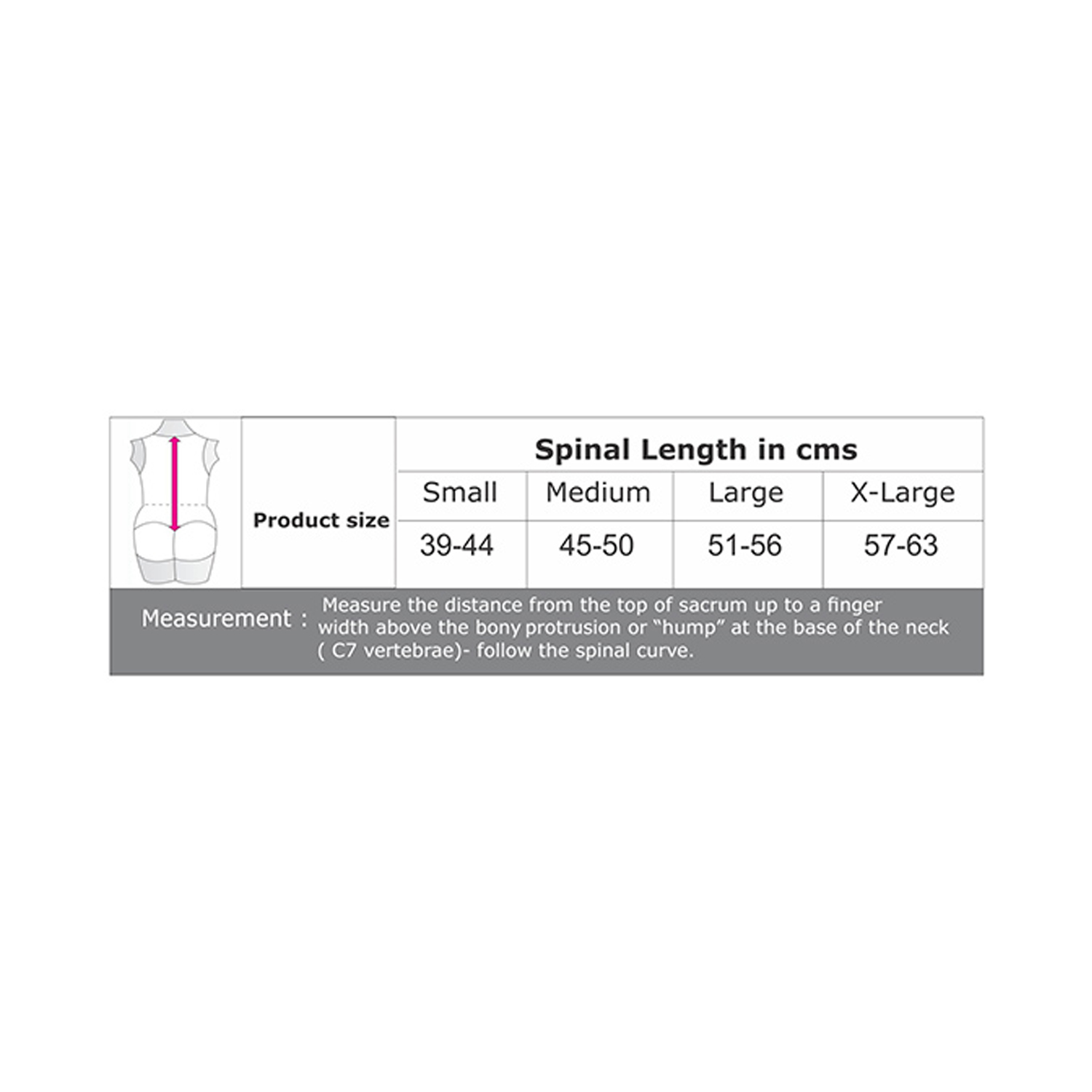 Dyna Spinal Brace - XL