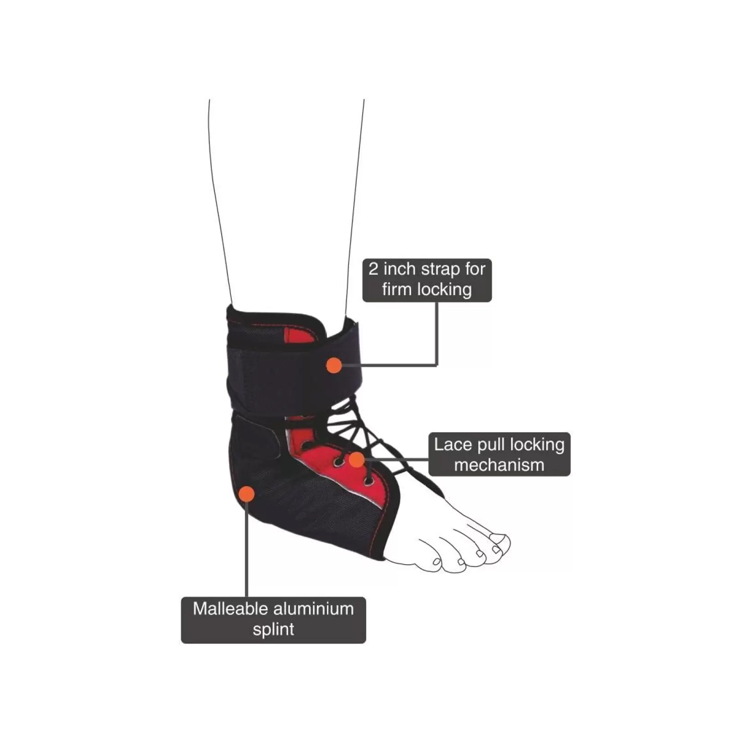 Vissco Rigid Ankle Brace - XL (PC. No. 2720)
