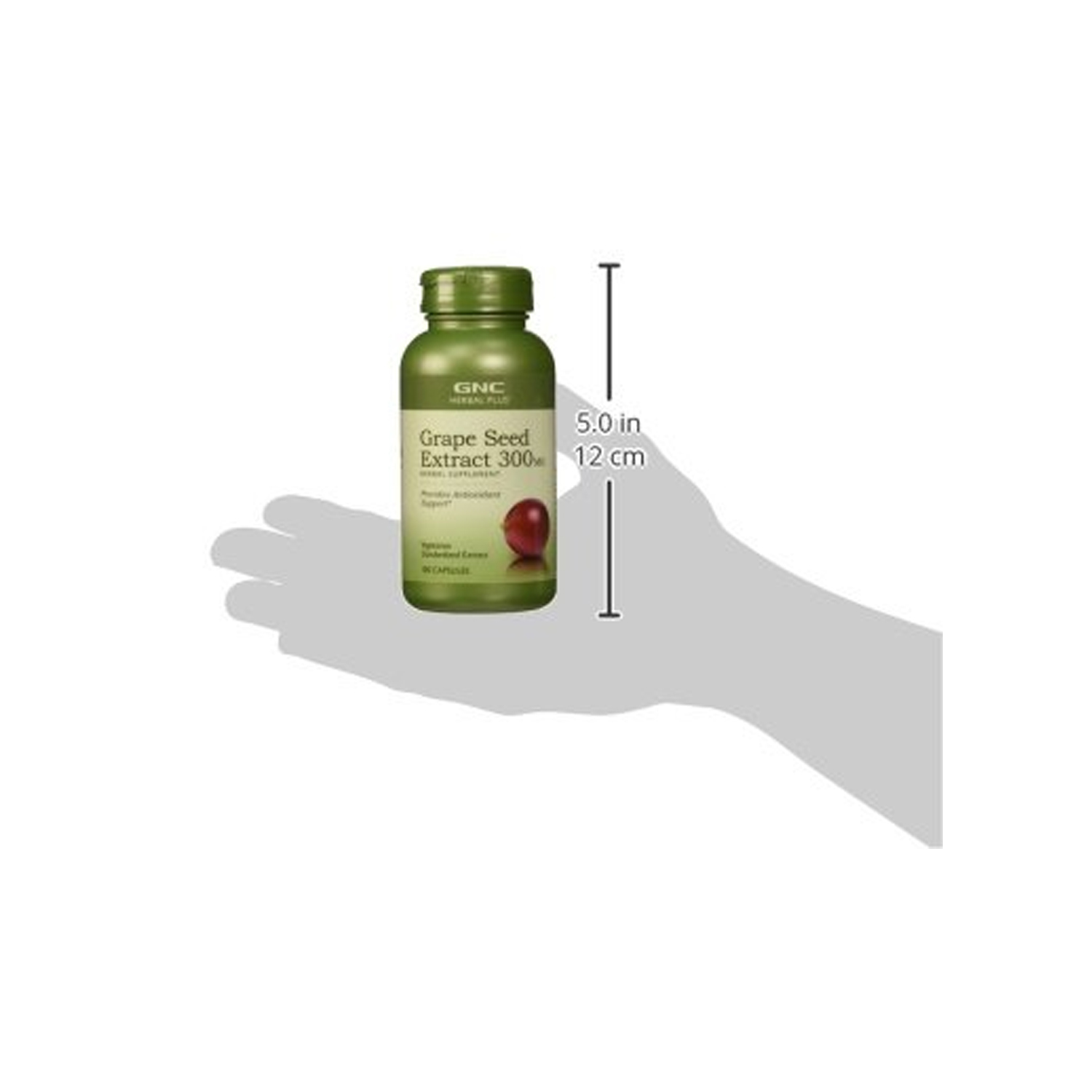 GNC Grape Seed Extract 300 mg 100 Capsules buy online at best price in