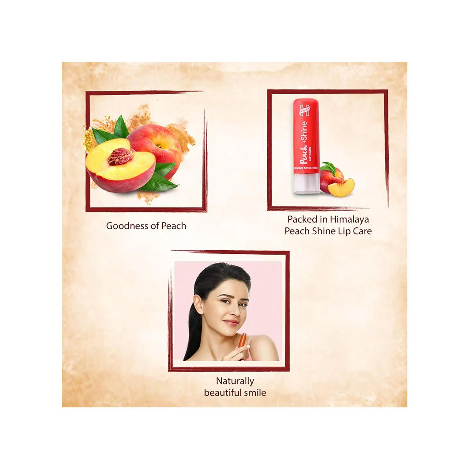 Himalaya Shine Lip Care Peach Rs.107 buy Online at Best Price in India