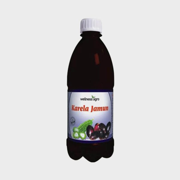 Wellness Agro Karela Jamun Juice 1000ml