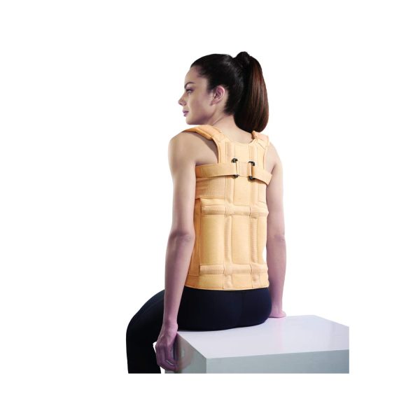  Vissco Dorso Lumbar Spinal Brace - Taylor Brace - XXL