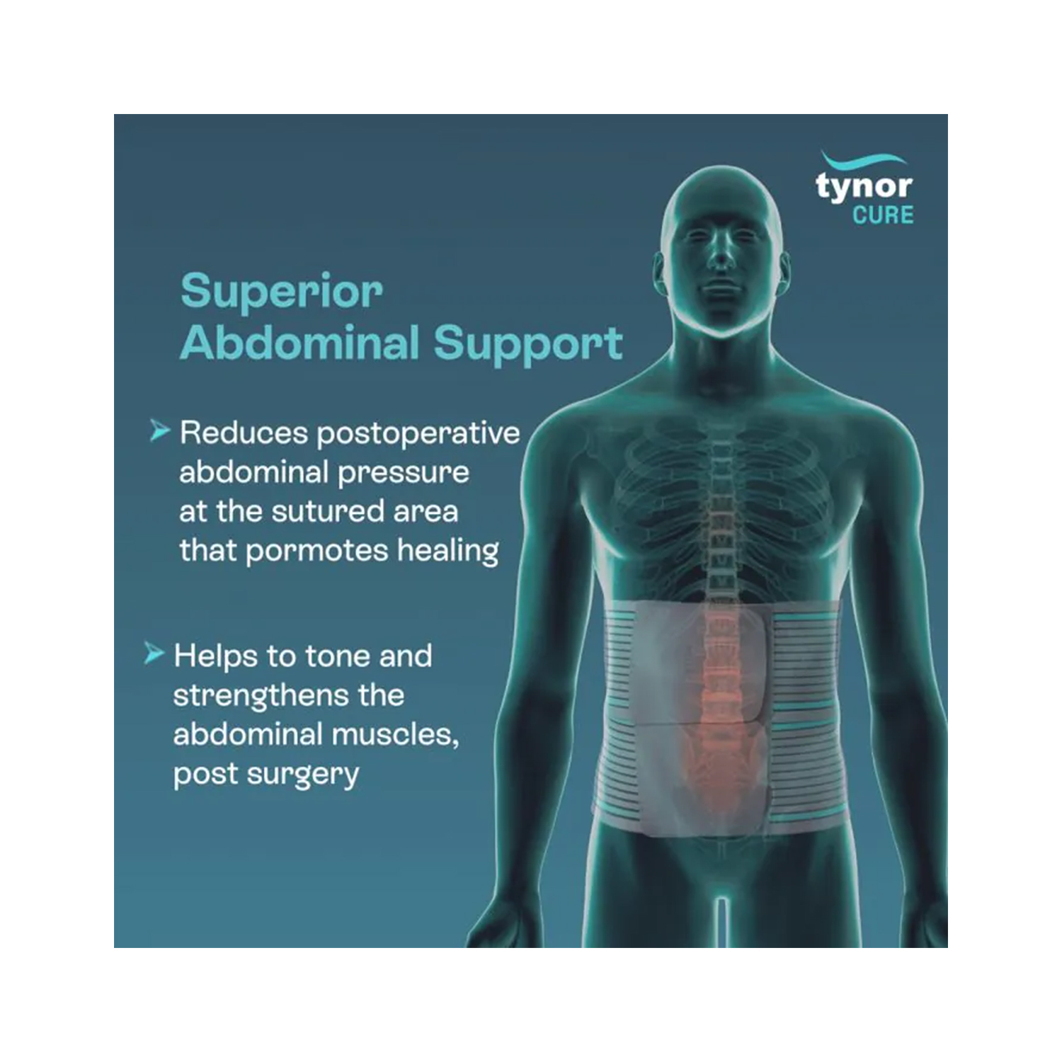 Tynor Tummy Trimmer (Abdominal Belt 8 inches) A -03 Small (2)