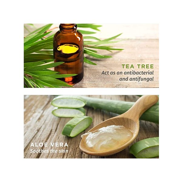 acts as antibacterial and antifungal