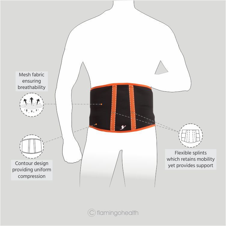 Flamingo Back Comfort Belt Medium Cureka Online Health Care
