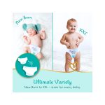 Pampers Premium Care Diaper Pants (Size L) Pack of 44