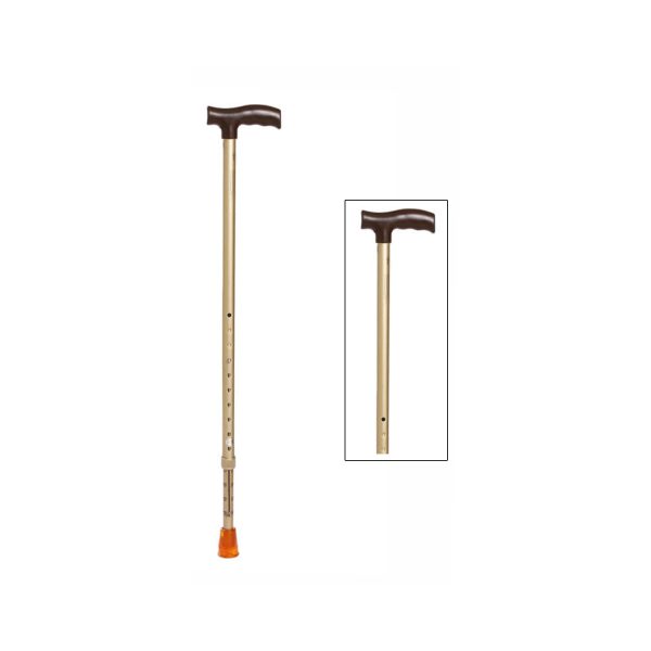 Tynor Walking Stick L Type