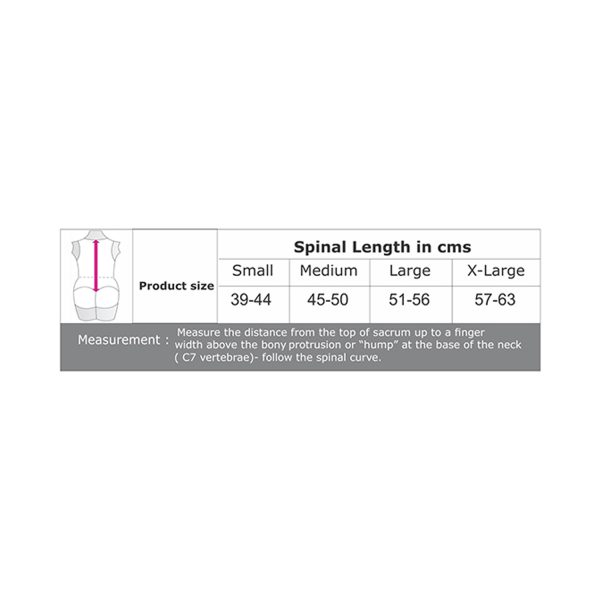 spinal length size