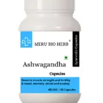 ashwagandha-90-capsules-500×500