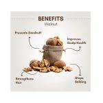 WALNUT 3