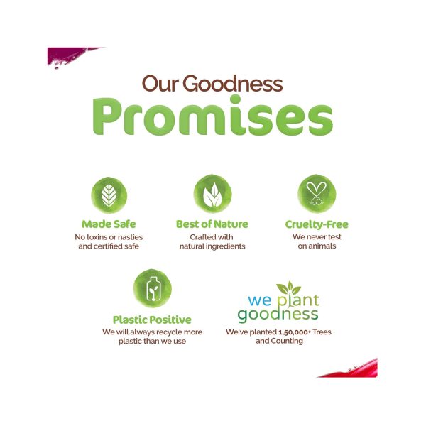 our goodness promises