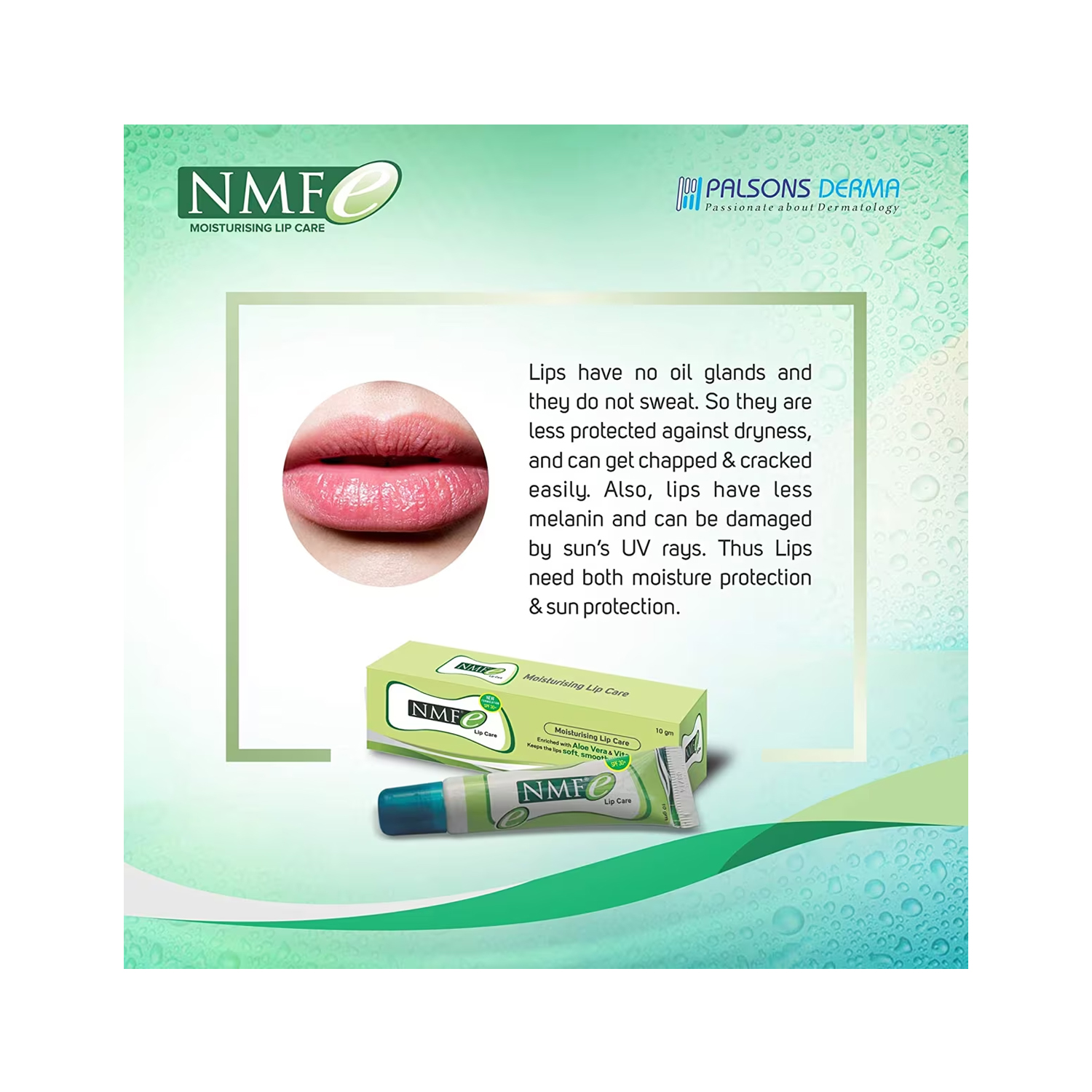 NMF E Lip Care (10gm) Cureka Online Health Care Products Shop
