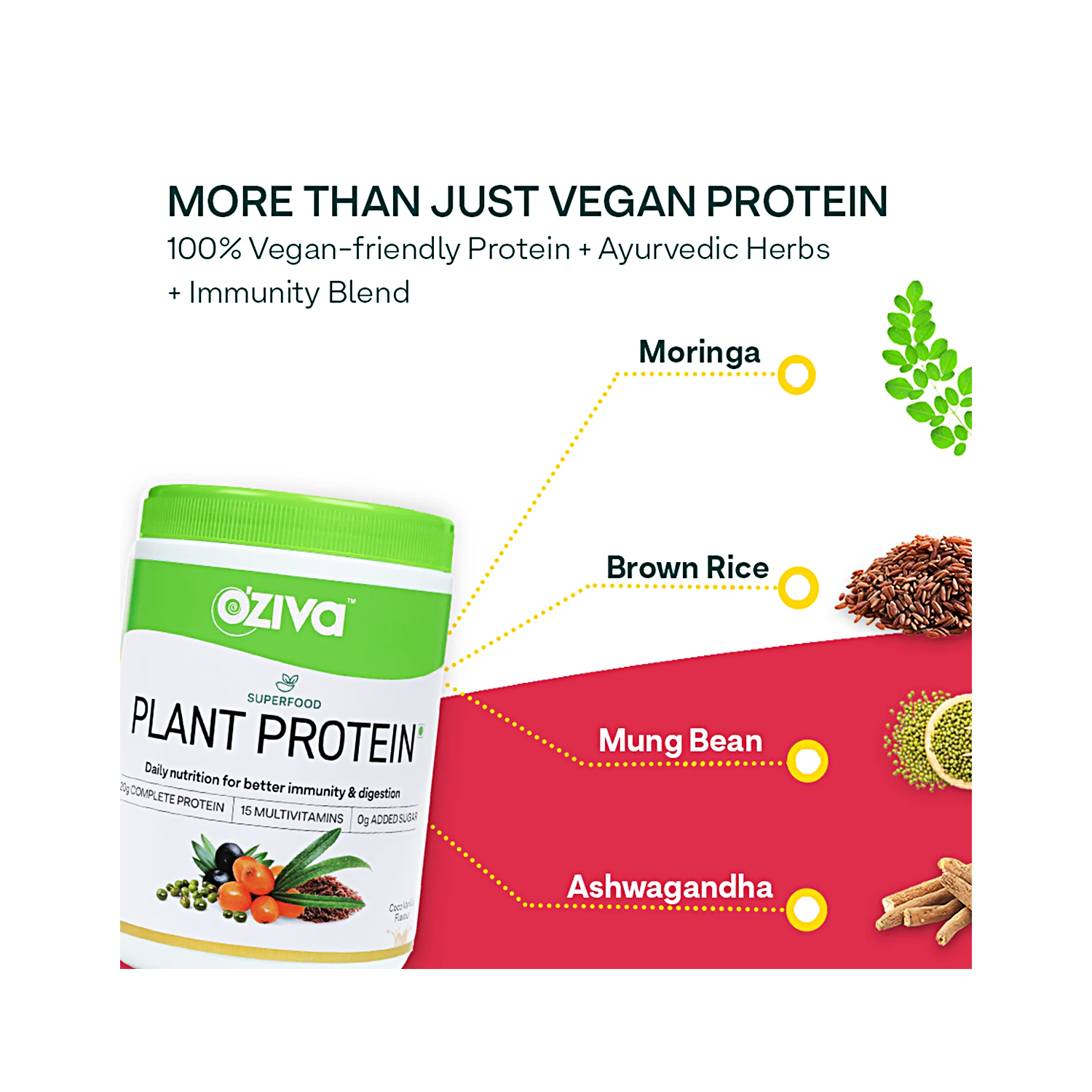 Oziva Superfood Plant Protein Powder for Men and Women 500g