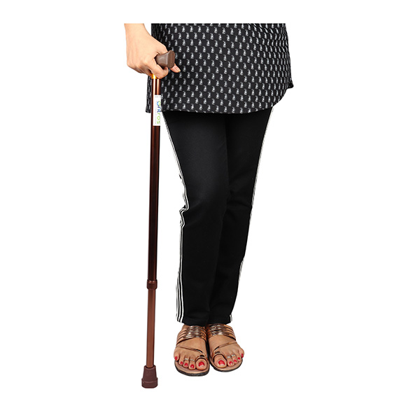 Entros Foldable Walking Stick