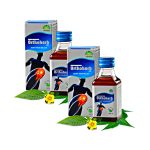 Pankajakasthuri Orthoherb Oil 100ml