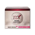 Instant Glow Skin Whitening Night Cream 30g