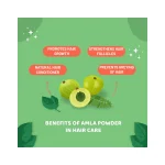 Carbamide Forte Amla Powder for Skin and Hair Health (250g)