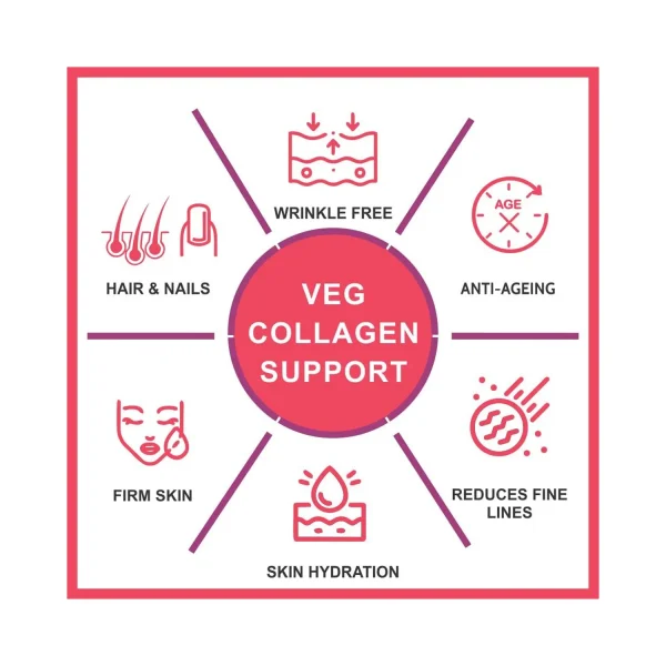 Veg Collagen Support