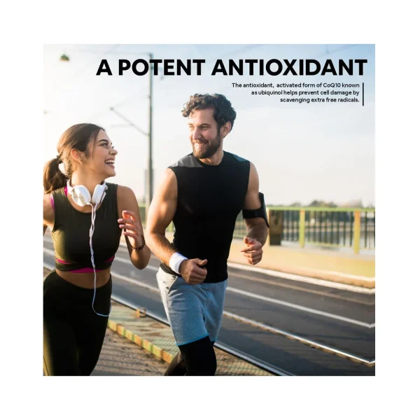 apotent antioxidant