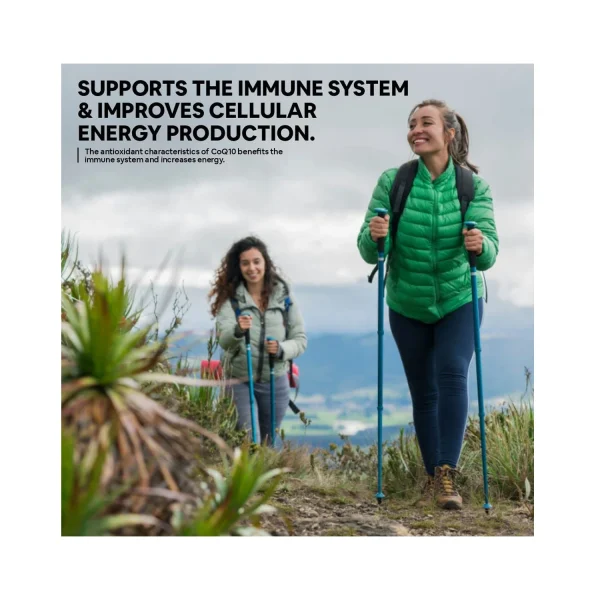 support immune system