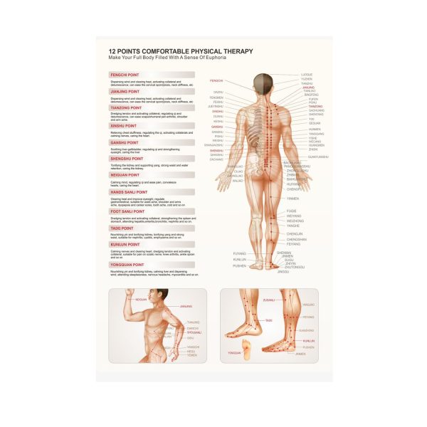 RST Zero Gravity Robotic Human Touch Shiatsu Full Body Massage Chair