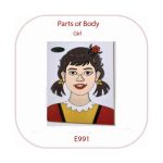 Divine Parts of the Body Peg Board Girl (E991)