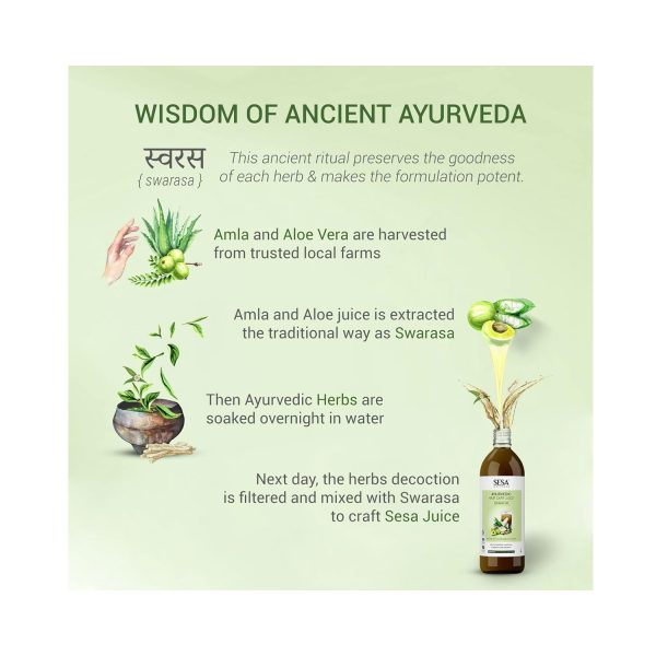 wisdom of ancient ayurvedha