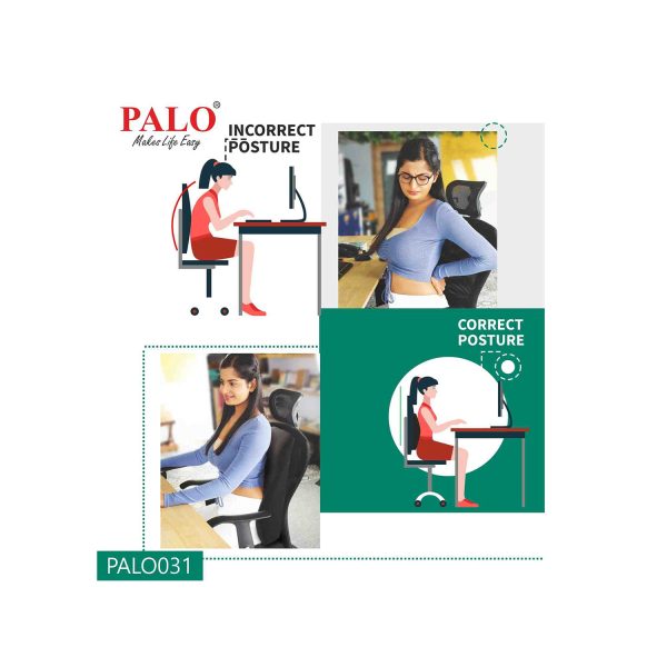 Palo Orthopedic Ergonomic Back Support with Memory Foam