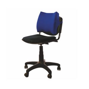 Vissco Moulded Orthopaedic Back Rest - (P.C. No. 0117)