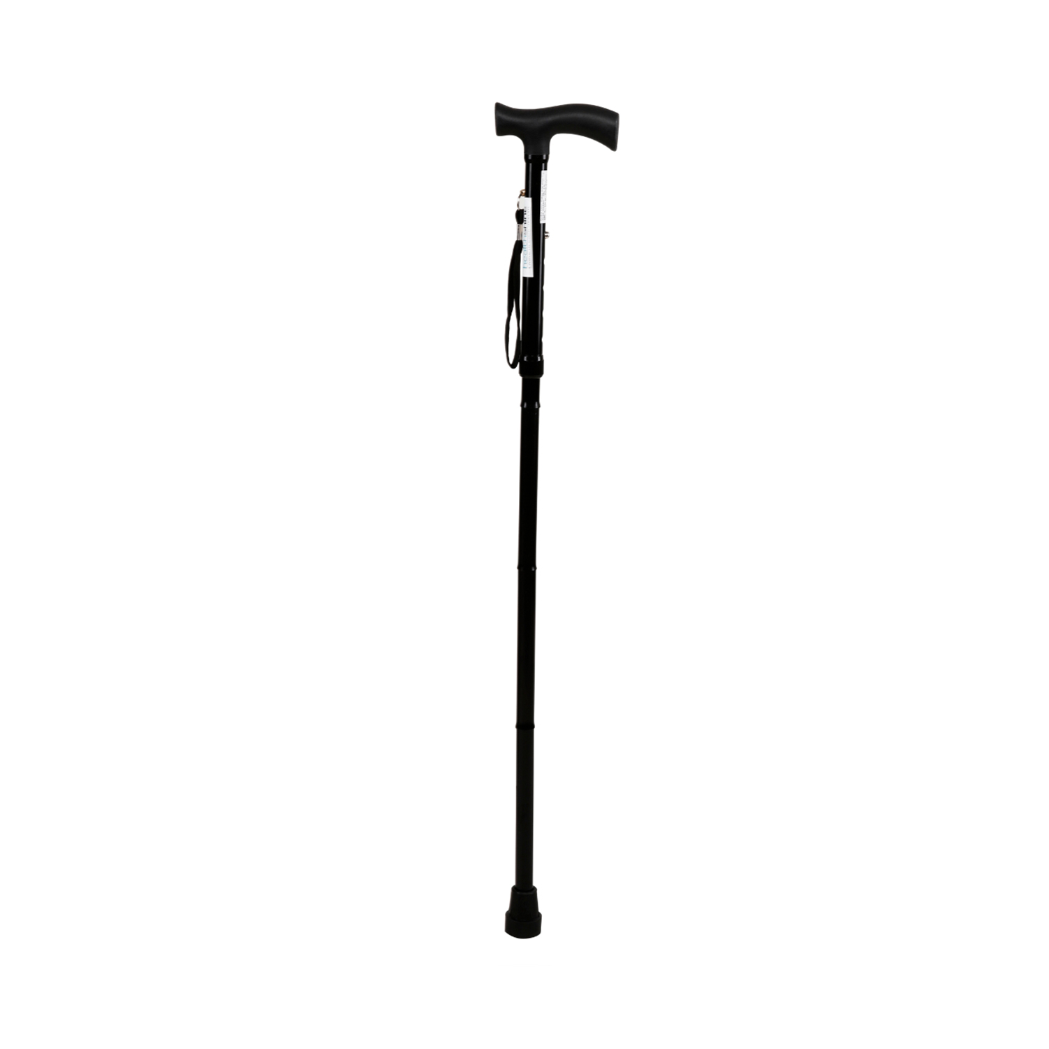 WALKING-STICK