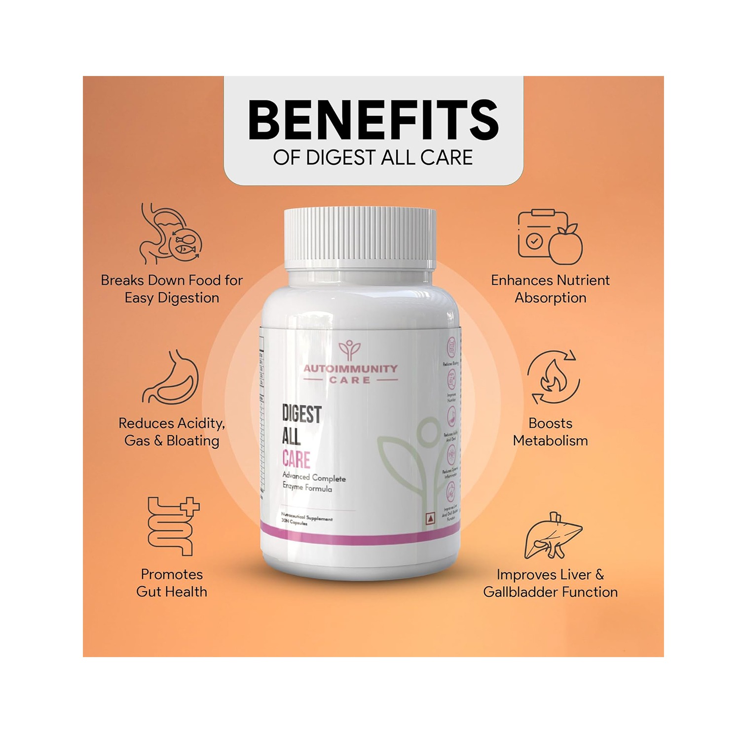 WhatsApp Image 2026-02-27 at 2.47.11 PM (2)