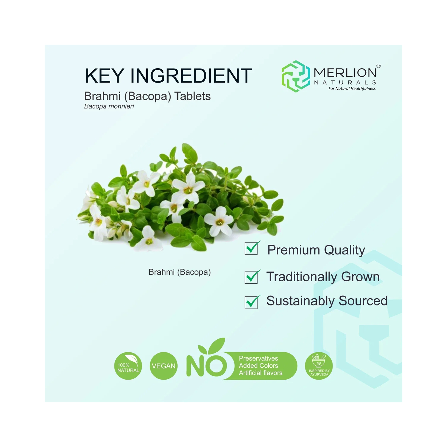 Merlion Naturals Bacopa Extract Tablets (120 Nos) (5).jpg
